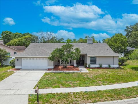 465 HOLLY HILL ROAD OLDSMAR FL 34677