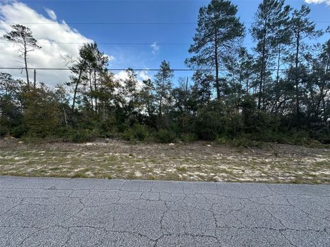 8385 N FARRINGTON DRIVE CITRUS SPRINGS FL 34433