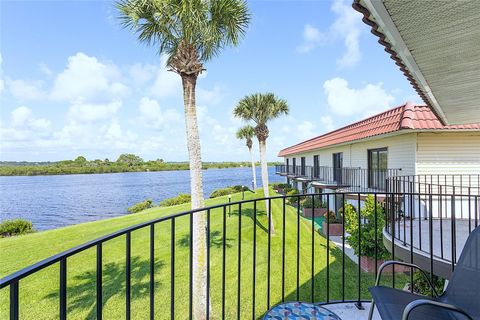 A home in FLAGLER BEACH