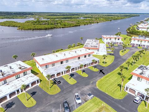 A home in FLAGLER BEACH