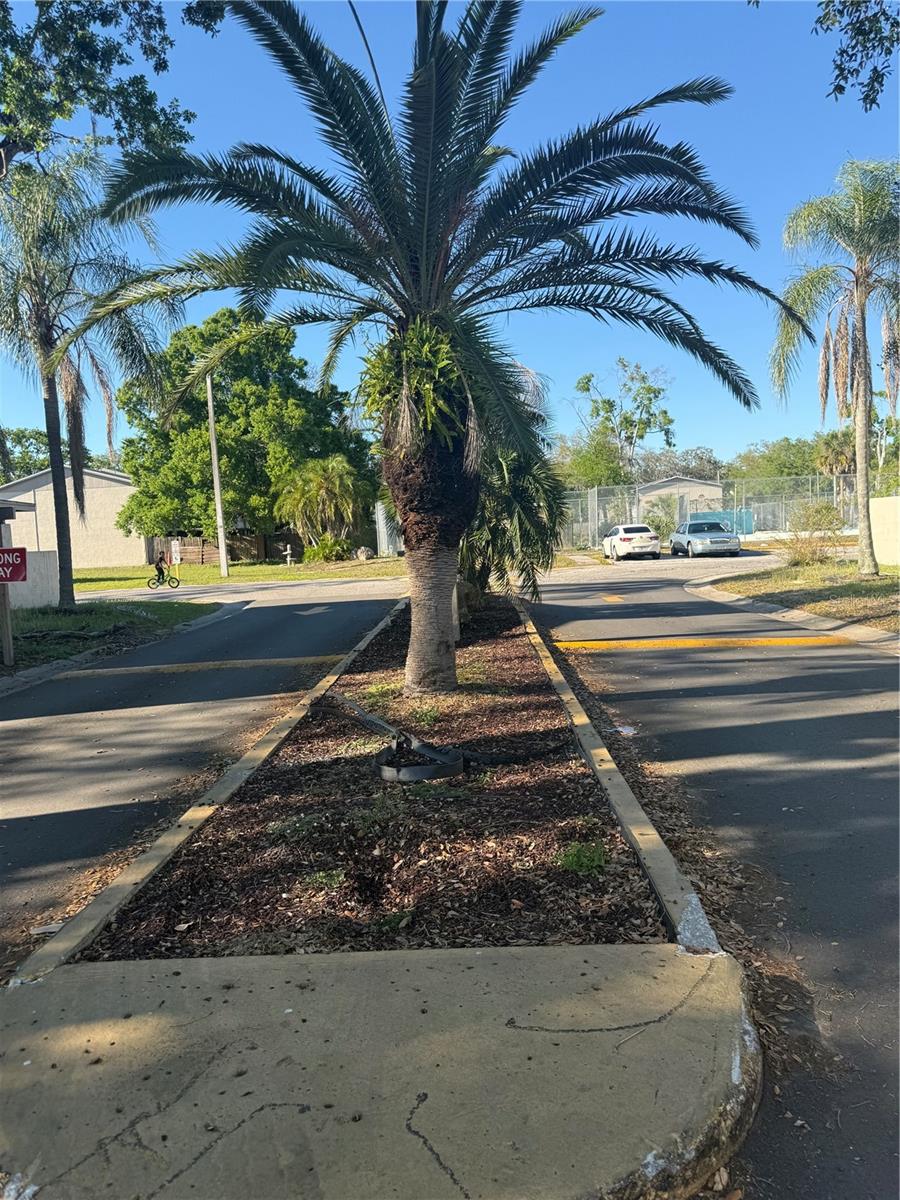 TEMPLE TERRACE PATIO HOMES A C - Residential