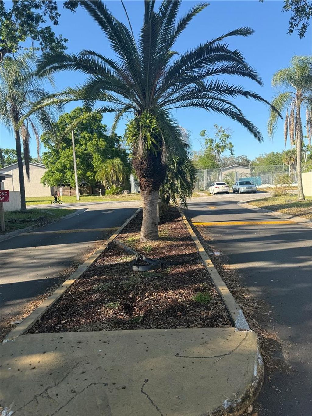 Photo of 5118 Tennis Court Cir, Tampa, FL 33617 (MLS # TB8490450)