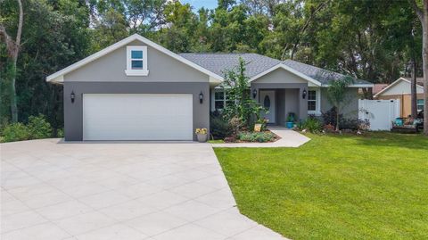 8160 SE 164TH PLACE SUMMERFIELD FL 34491