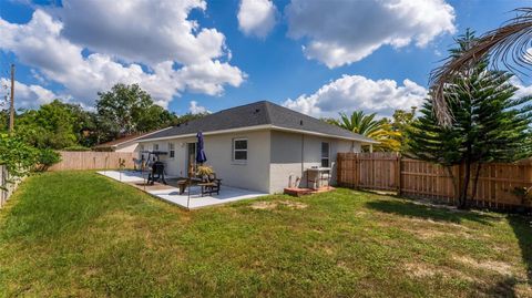 A home in MOUNT DORA