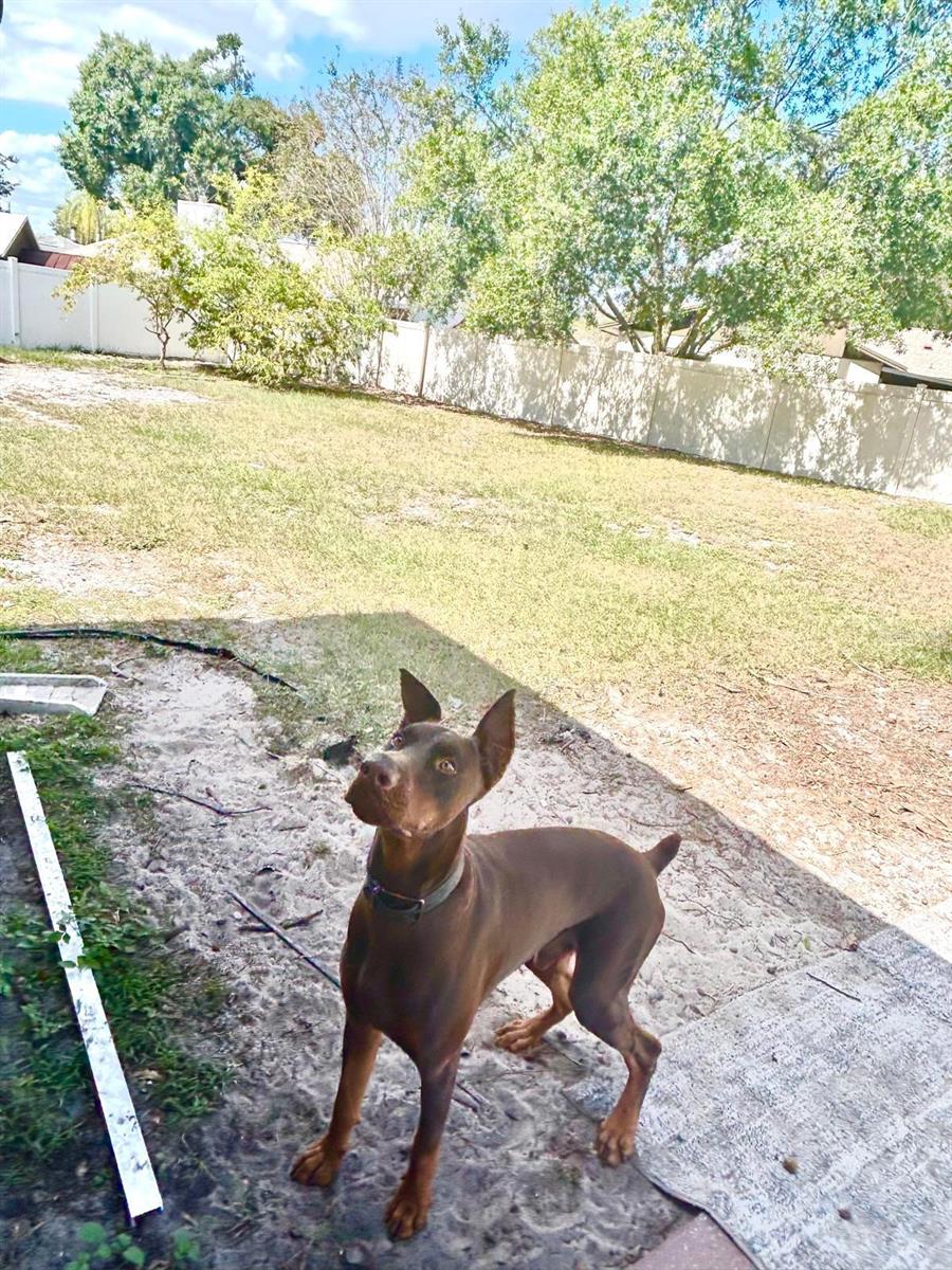 BLOOMINGDALE SEC H UNIT 2 - Residential