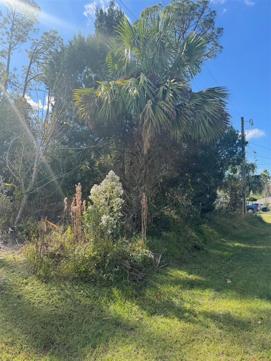 38 SLEEPY HOLLOW TRAIL