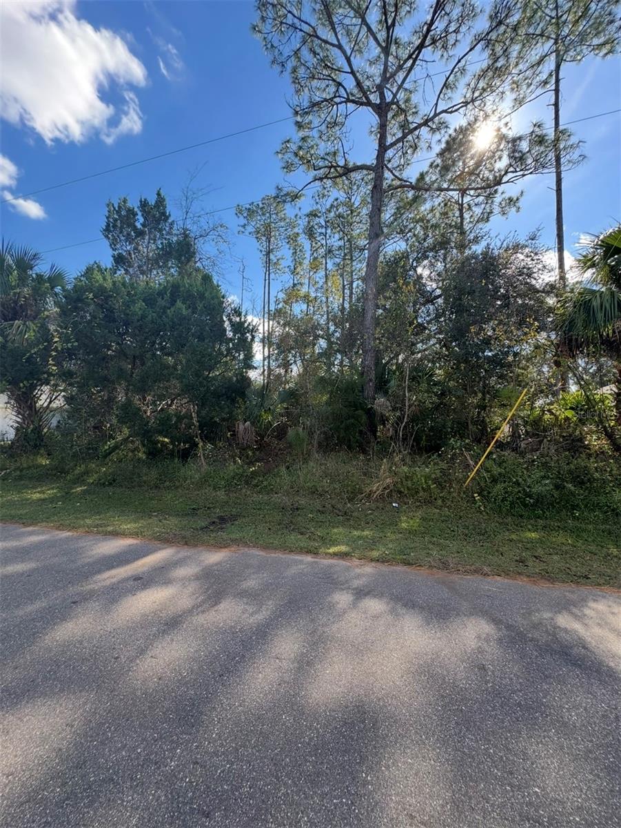 38 SLEEPY HOLLOW TRAIL