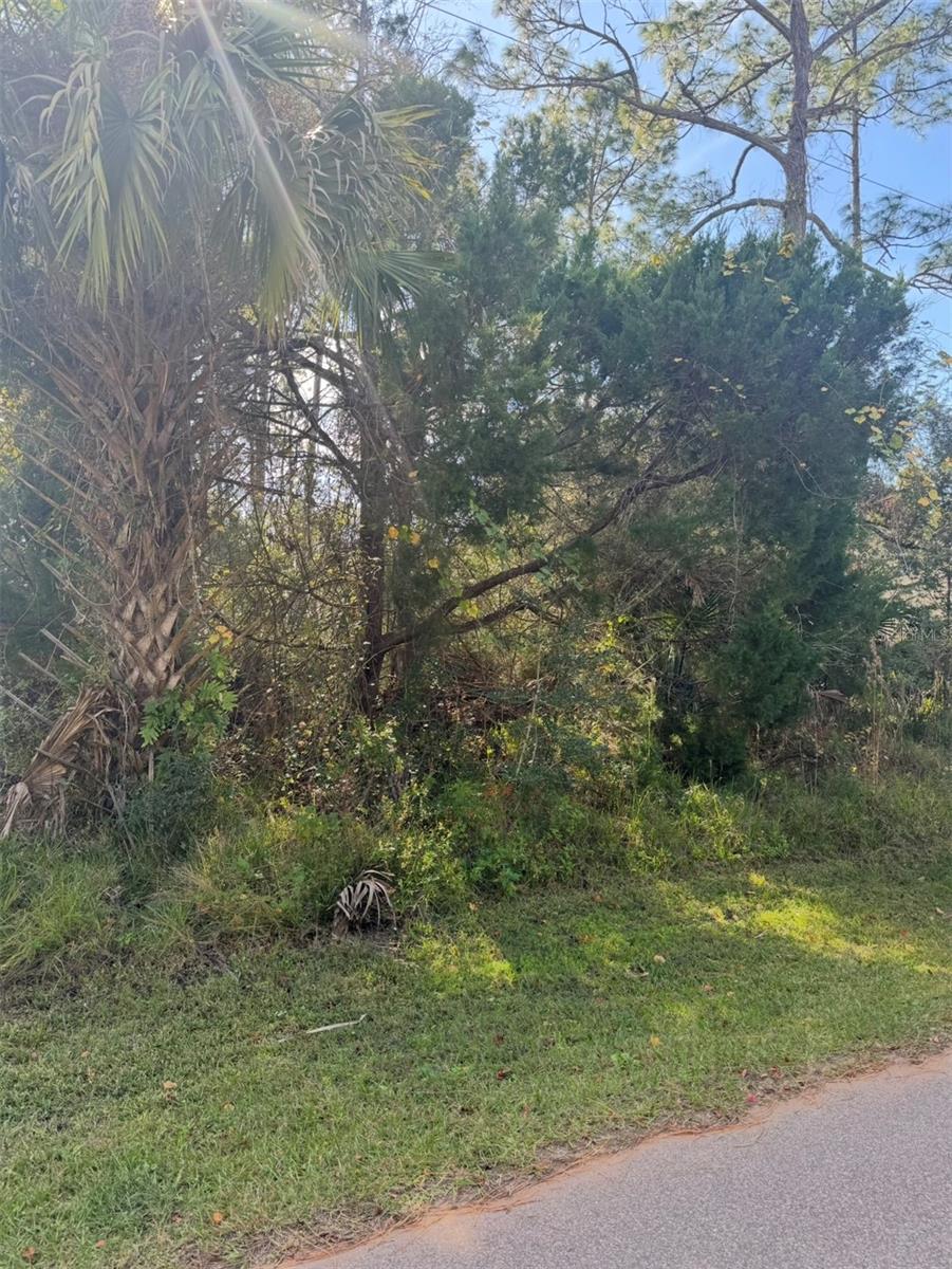 38 SLEEPY HOLLOW TRAIL