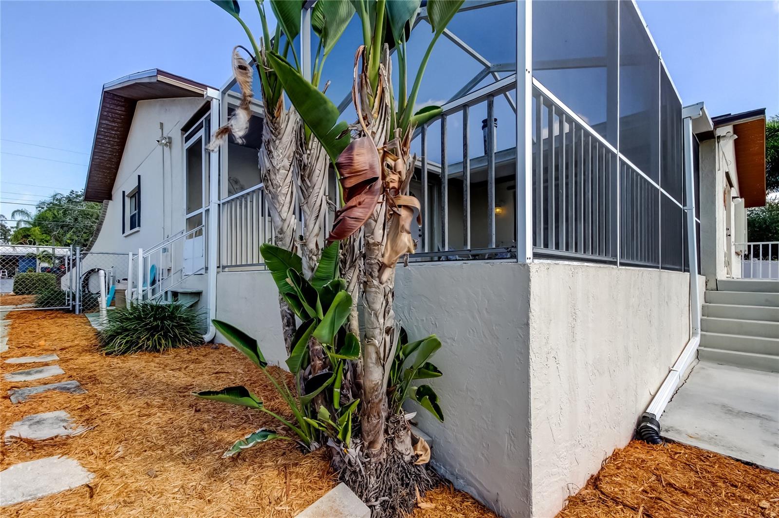 BAYWOOD VILLAGE - Residential