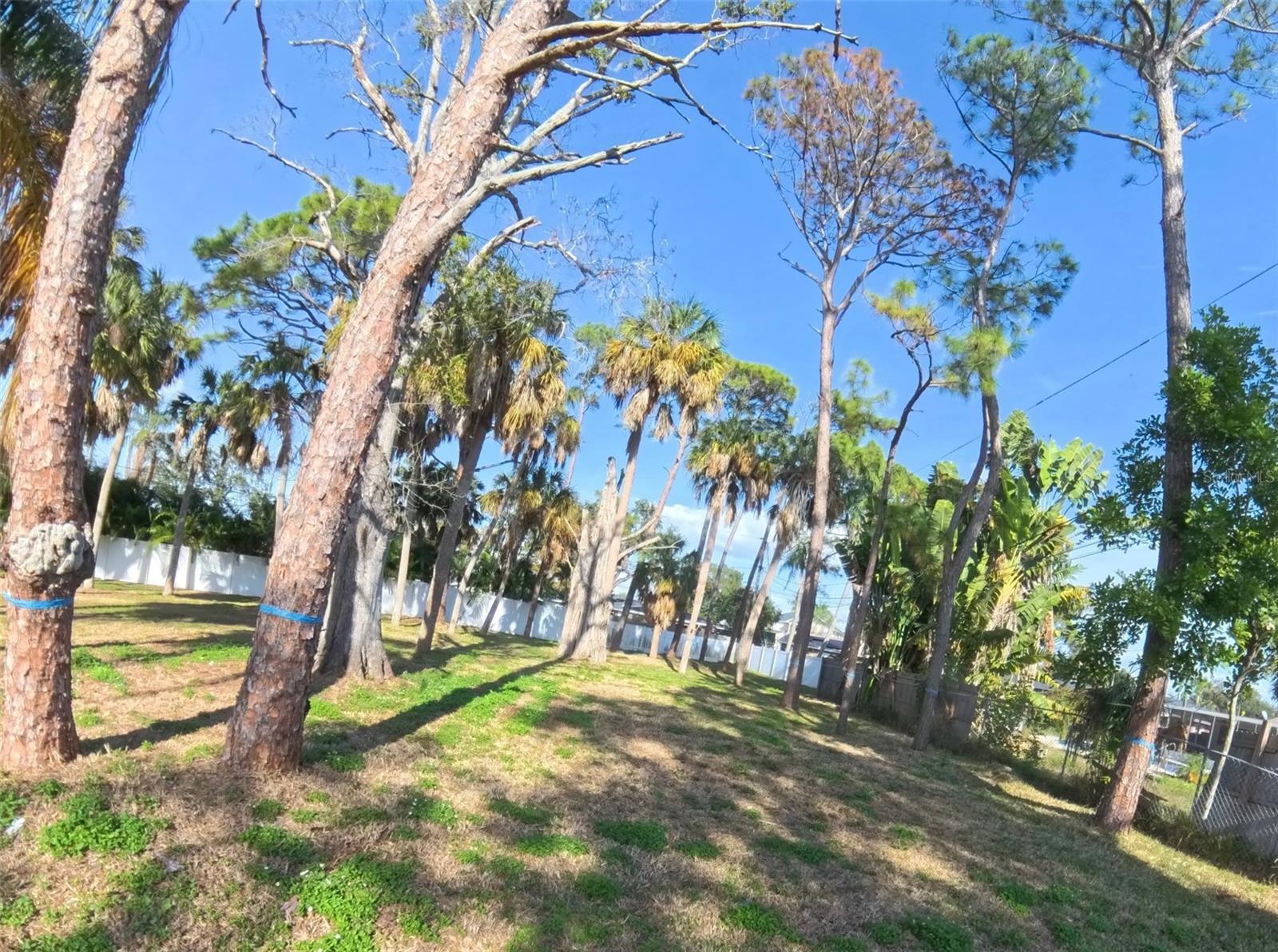 SHORE ACRES VENICE SEC 2ND REP - Residential