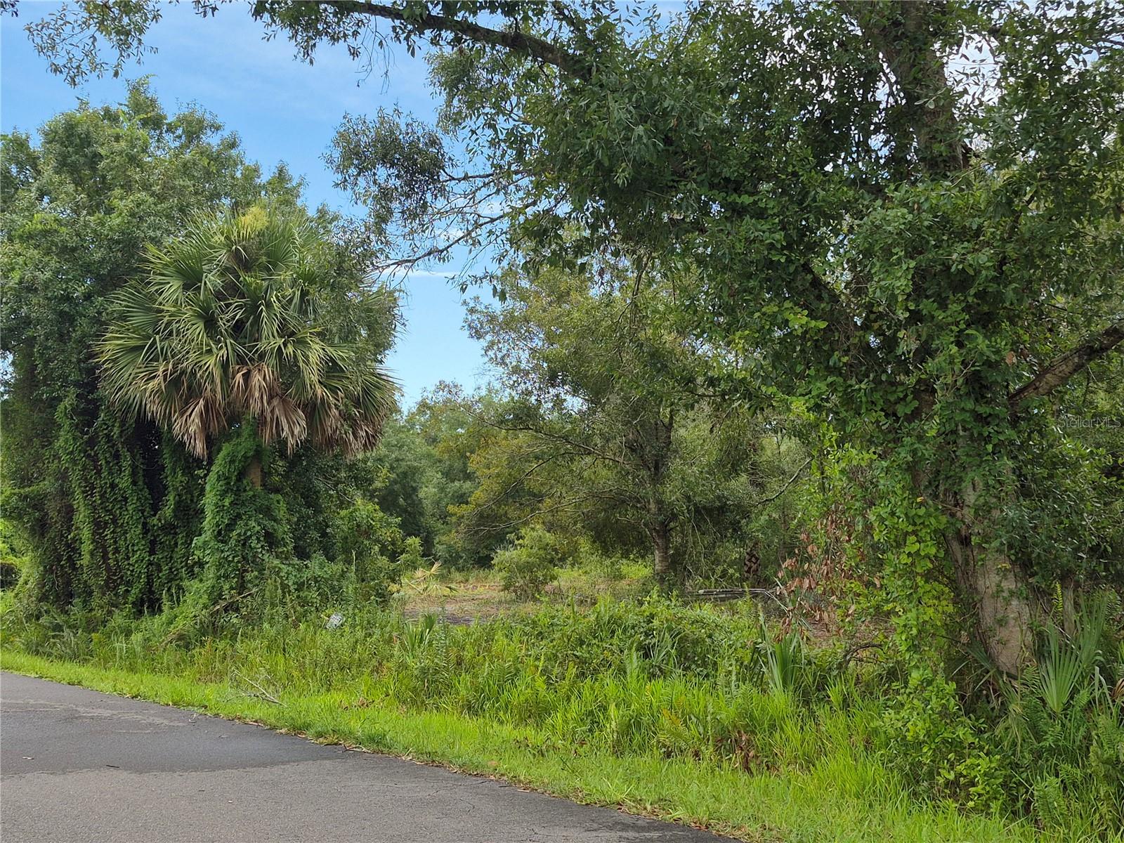 1.5 acre lot in Dixie Ranch Acres. Nice and quiet area. Check with building and zoning for any restrictions.