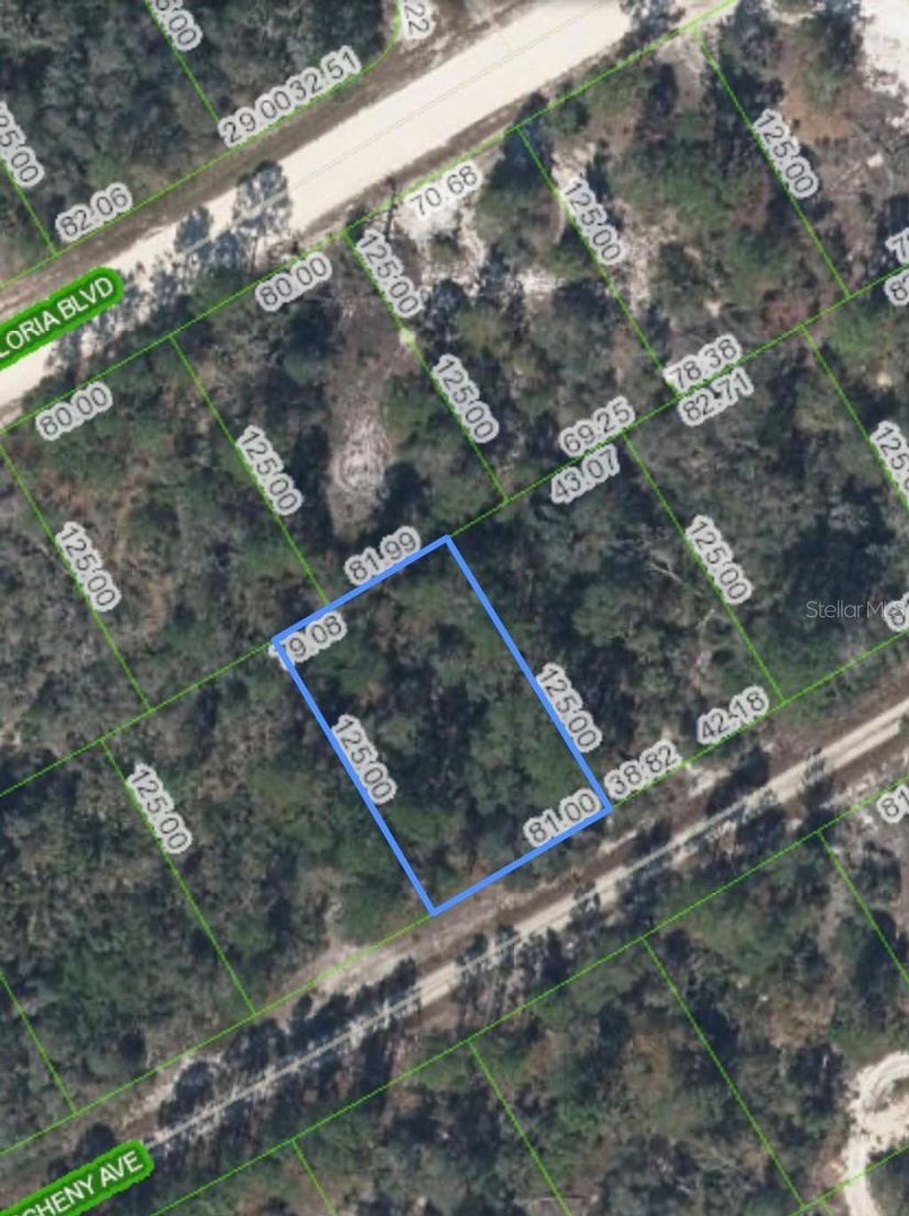 Photo of 406 Allegheny Avenue, Lake Placid, FL 33852 (MLS # P4934644)