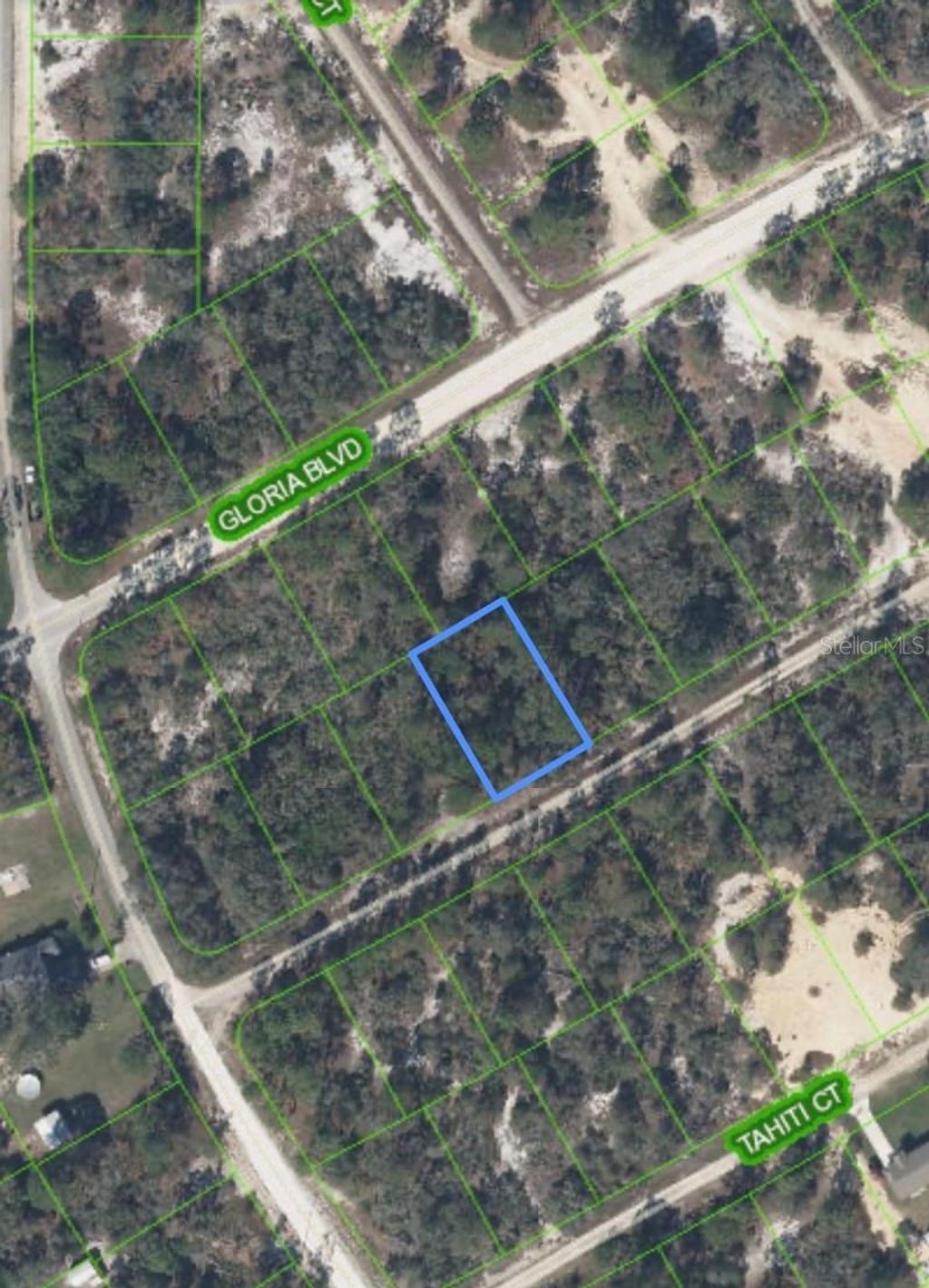 Photo of 406 Allegheny Avenue, Lake Placid, FL 33852 (MLS # P4934644)