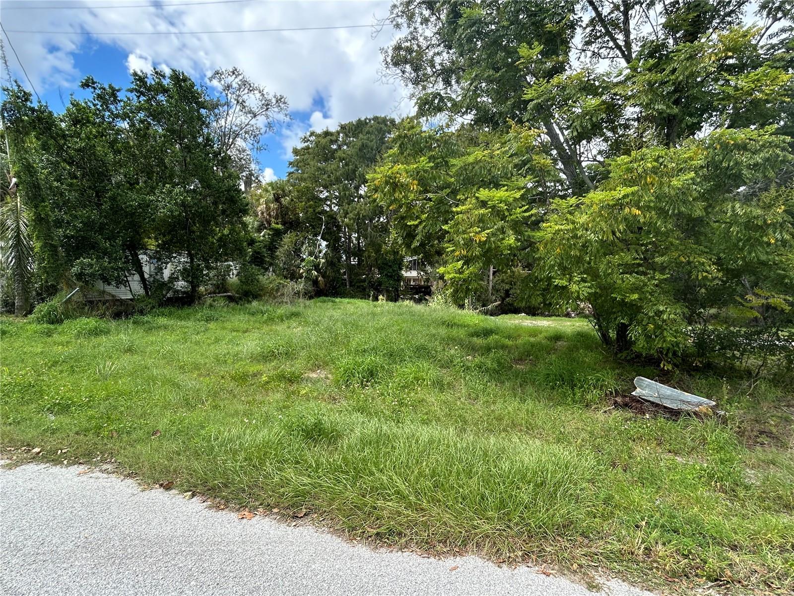Build your dream home on this cleared vacant lot with direct access to the scenic Anclote River! Whether you’re planning a custom build or placing a manufactured home, this property is ready for you. Enjoy freshwater fishing, kayaking, or simply relaxing right from your own backyard. Conveniently located near SR-54, you’ll be just minutes from shopping, dining, and local attractions—offering both tranquility and accessibility in one ideal spot.