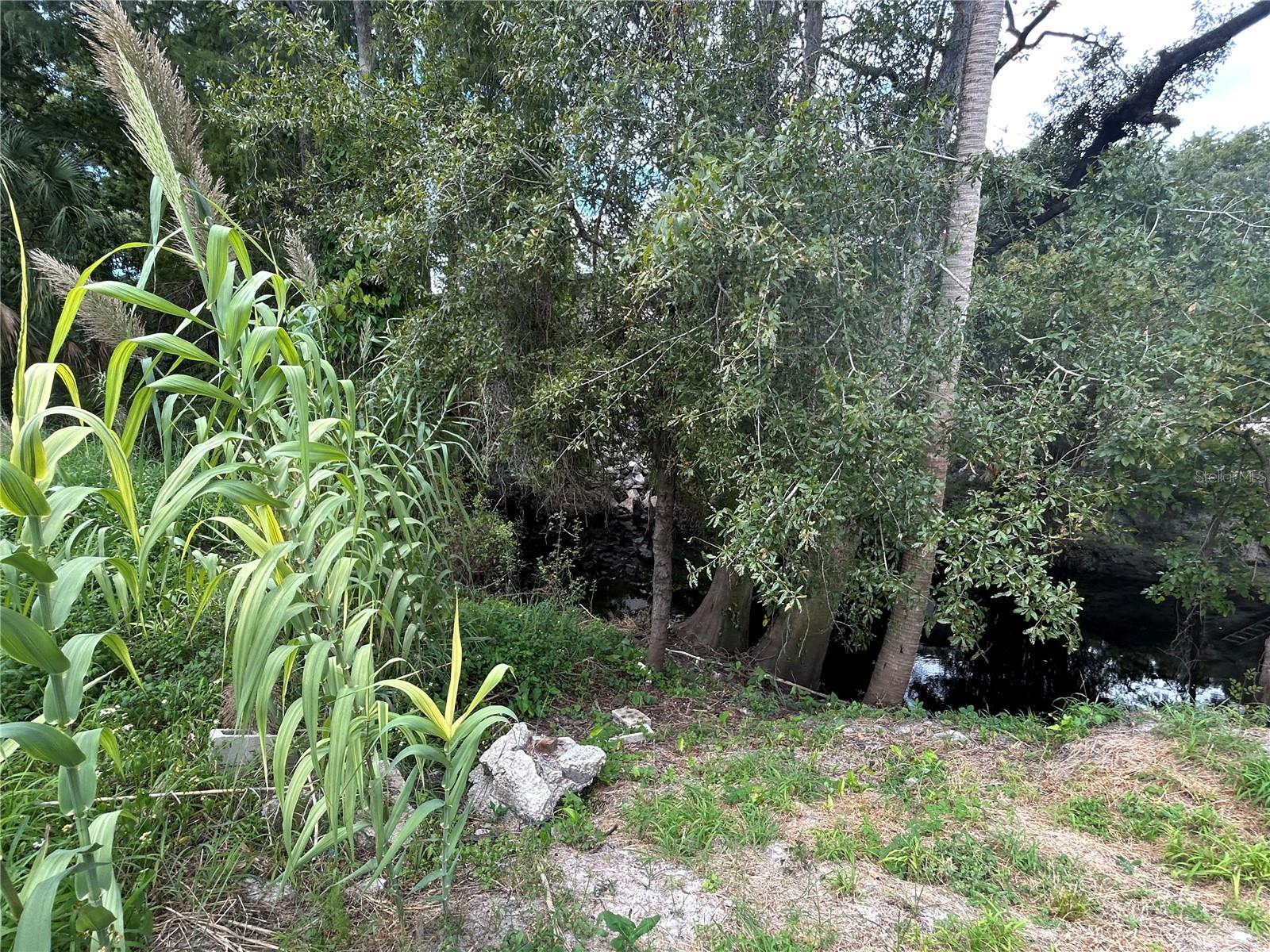 ANCLOTE RIVER ESTATES - Land