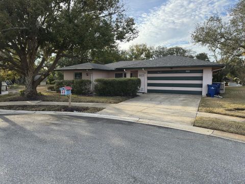 A home in PORT RICHEY