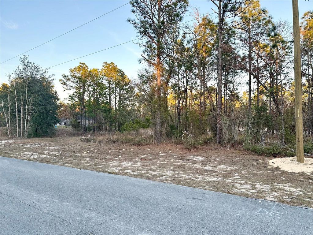 Photo of 0 SW 88th Court, Ocala, FL 34473 (MLS # OM716801)