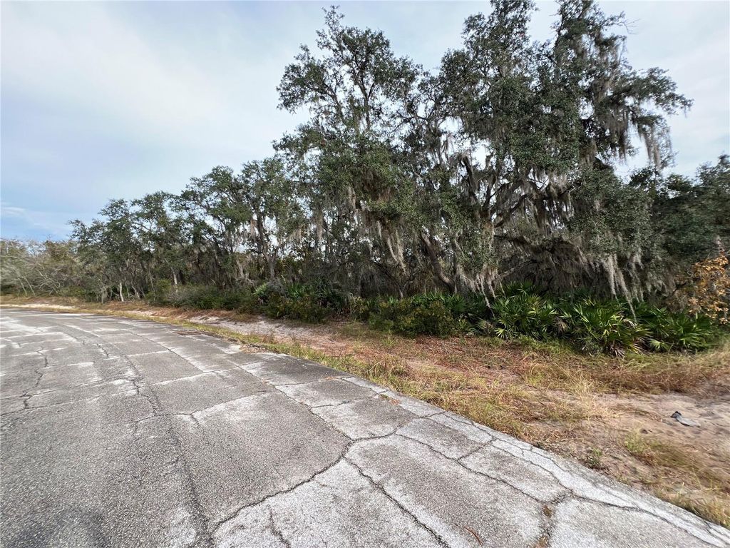 Photo of 1251 Baltic Drive, Kissimmee, FL 34759 (MLS # S5139618)