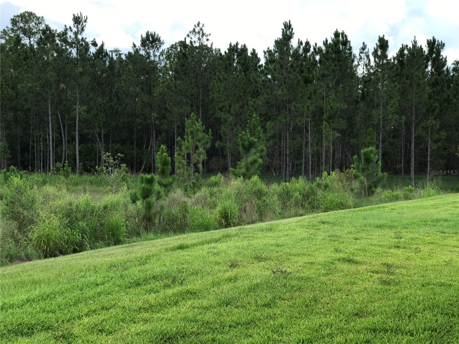 SOLIVITA PH IIIB - Residential