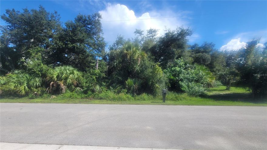 Nestled in a quiet neighborhood with other nice new homes! Just minutes from shopping, dining, parks, and I-75, and easy access to nearby beaches and everything the Florida lifestyle has to offer.