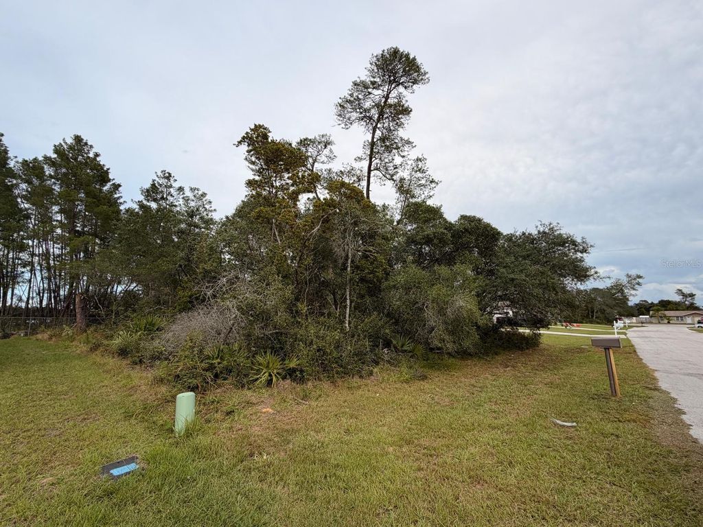Photo of SW 151st #39, Ocala, FL 34473 (MLS # O6359551)