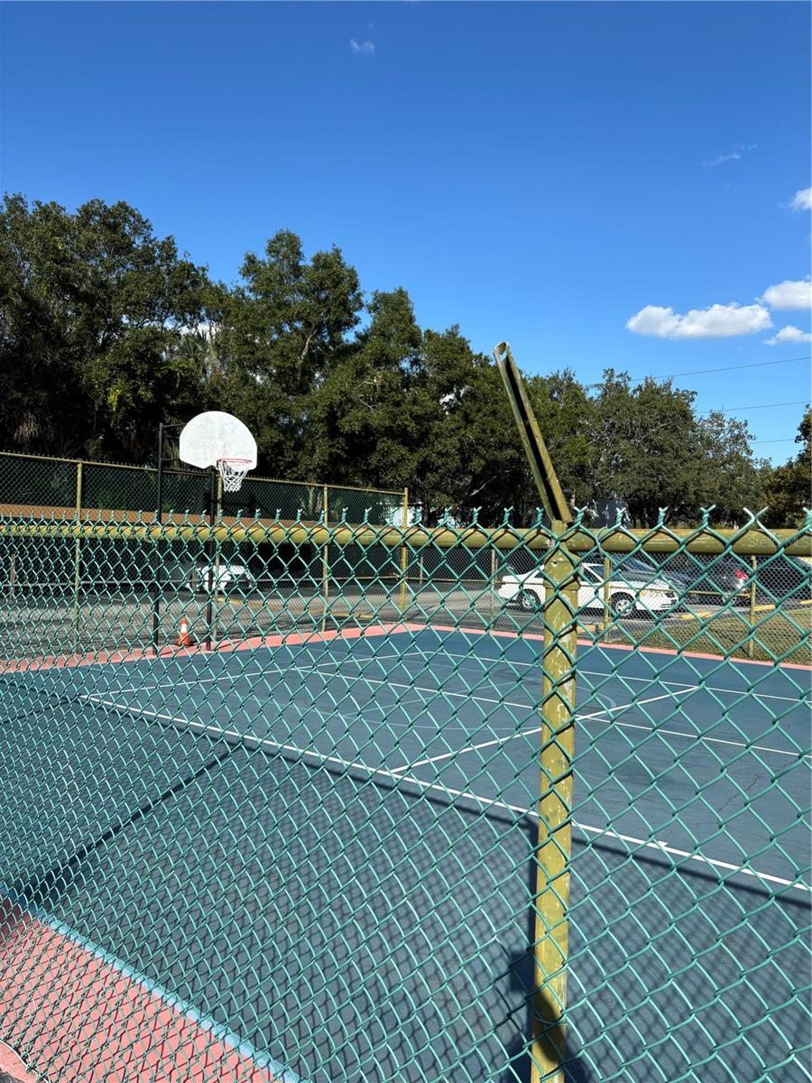 THE TAMPA RACQUET CLUB A CONDO - Residential