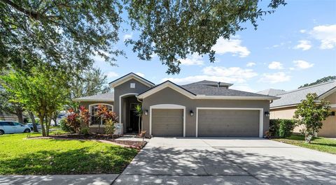 A home in LITHIA