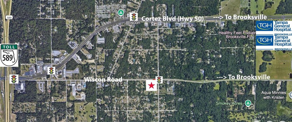 Photo of 16250 Wiscon Road, Brooksville, FL 34601 (MLS # W7880196)