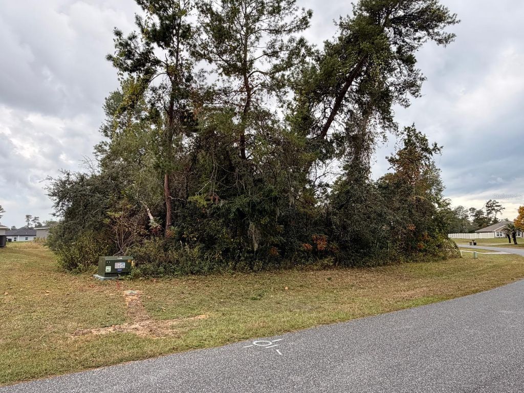 Photo of 156 Th Ln, Ocala, FL 34473 (MLS # O6359555)