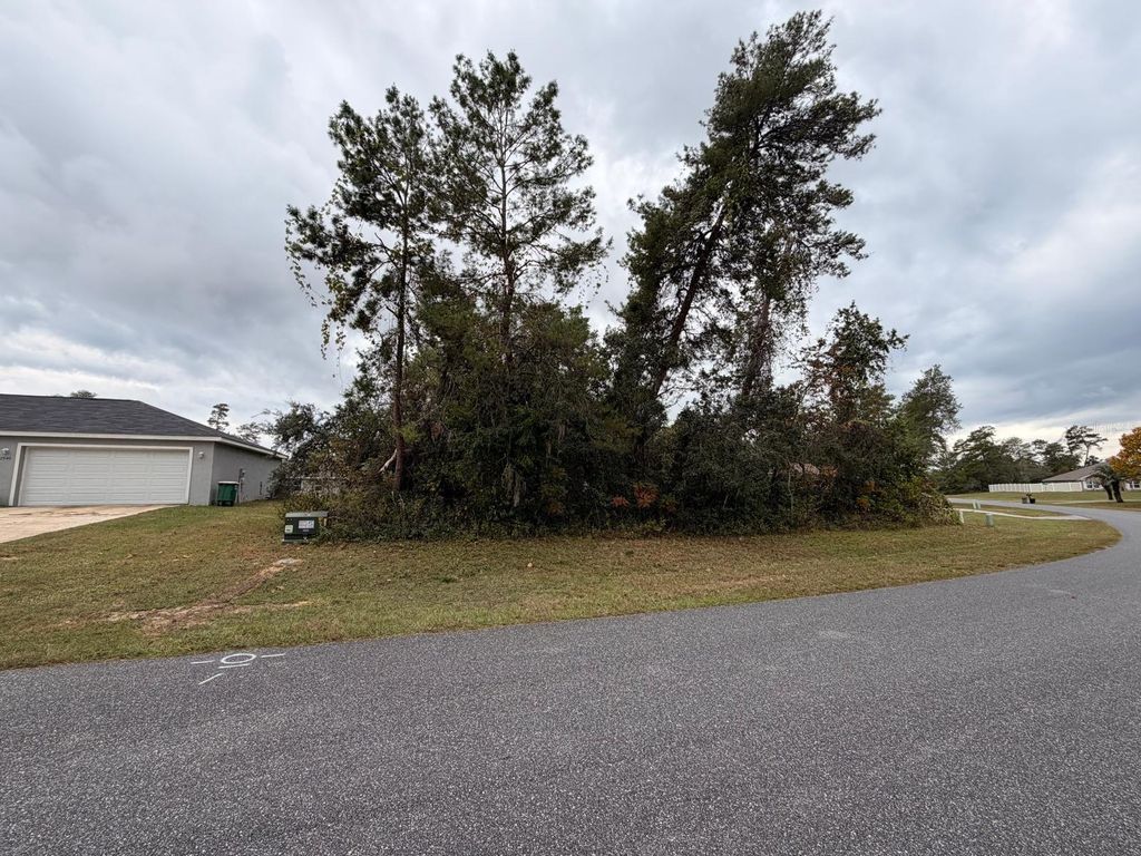 Photo of 156 Th Ln, Ocala, FL 34473 (MLS # O6359555)