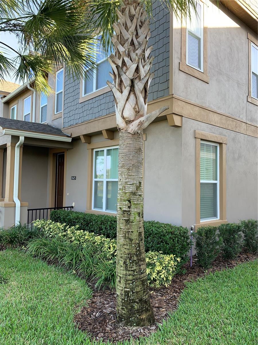 ASHLIN PARK PH 2 - Residential Lease