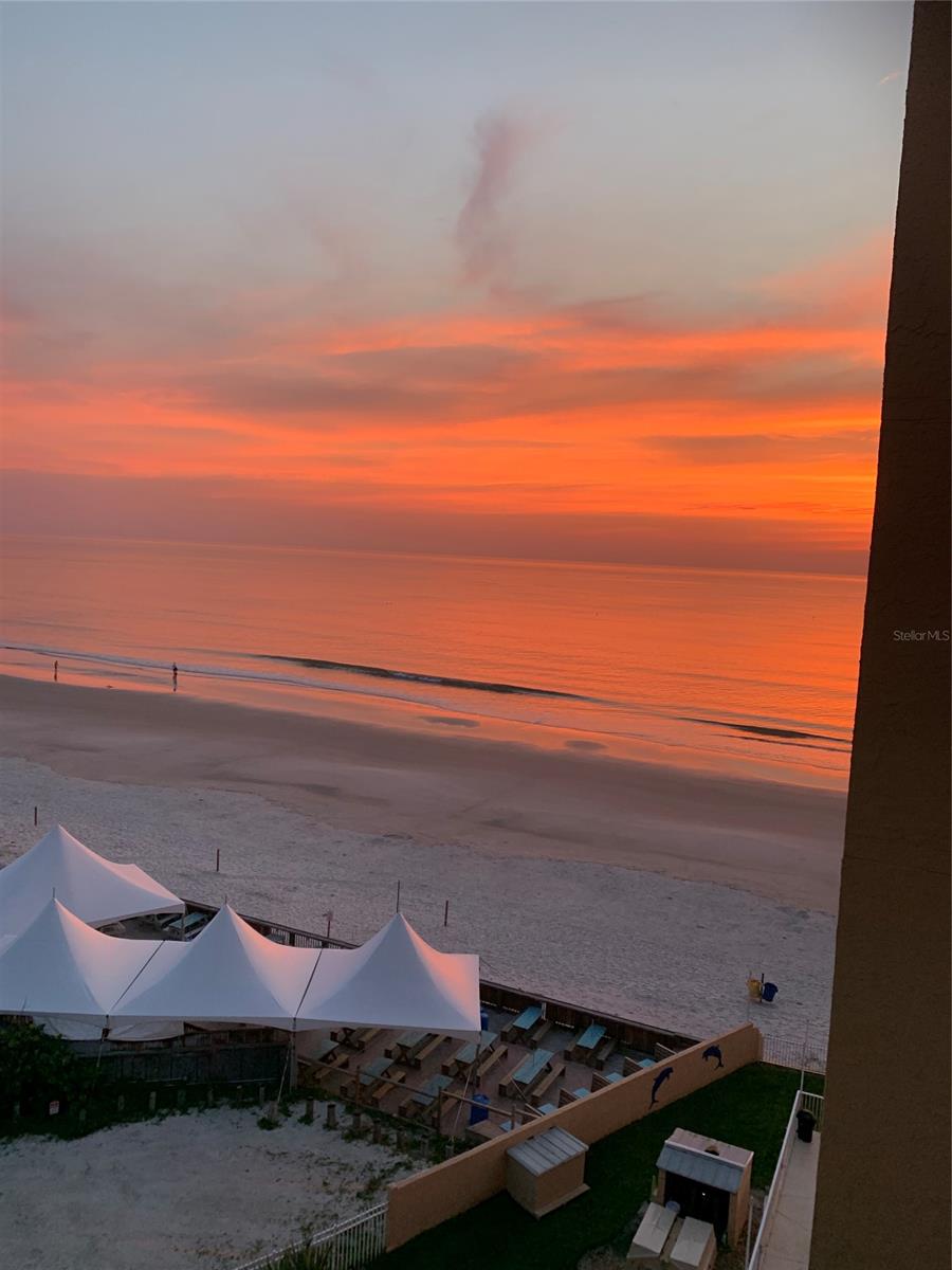 Oceania Plaza Condo - Residential