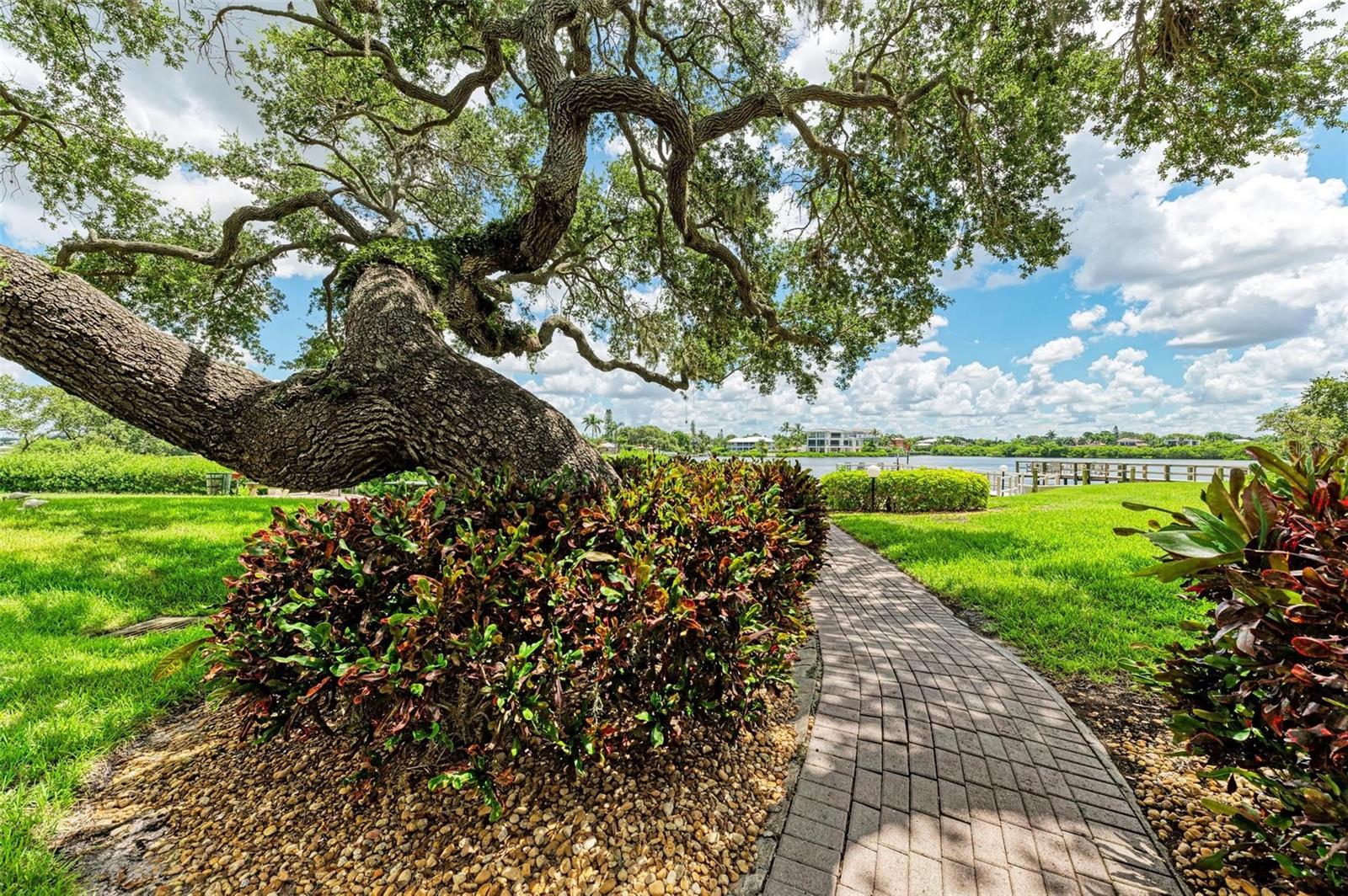BAY OAKS - Residential