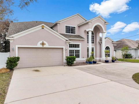 A home in PALM COAST