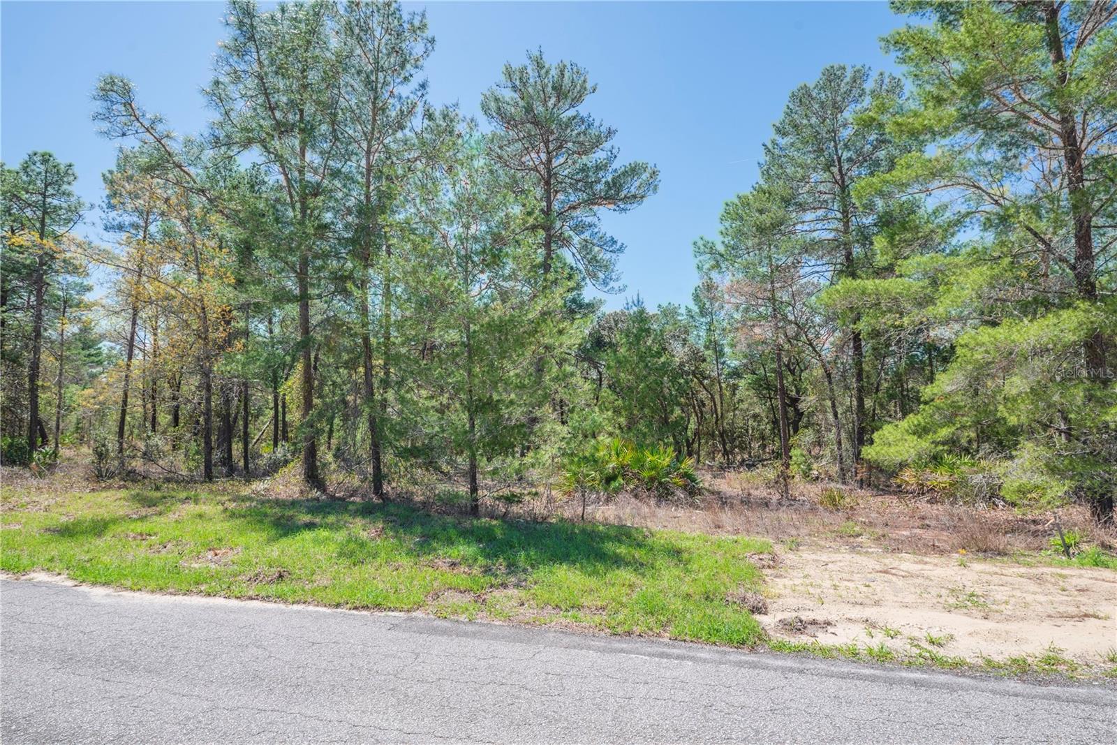 SUGARMILL WOODS OAK VILLAGE - Land