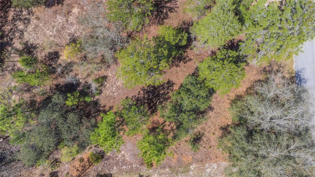 Photo of 6 Heuchera Court E, Homosassa, FL 34446 (MLS # TB8482528)