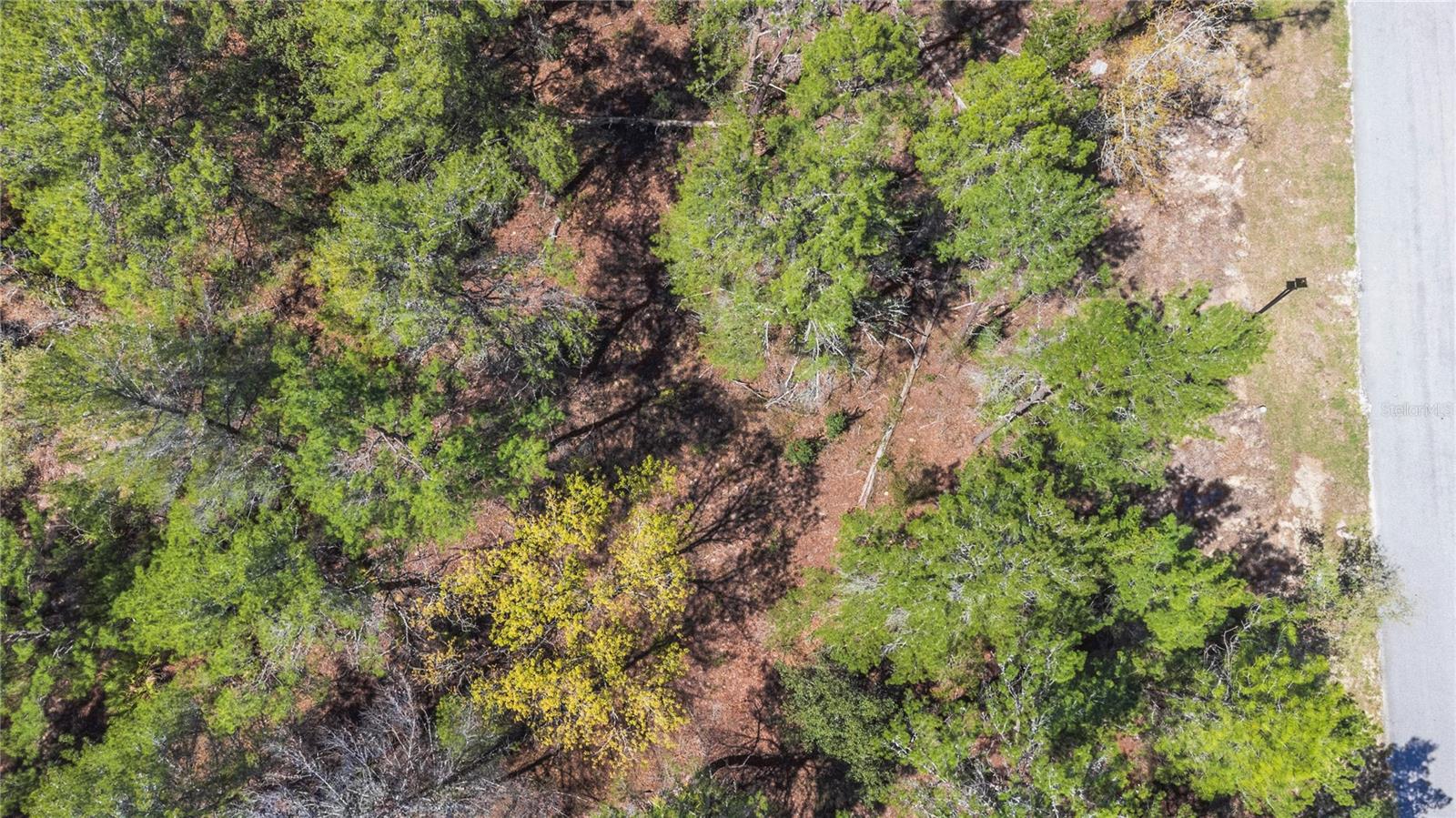 SUGARMILL WOODS OAK VILLAGE - Land