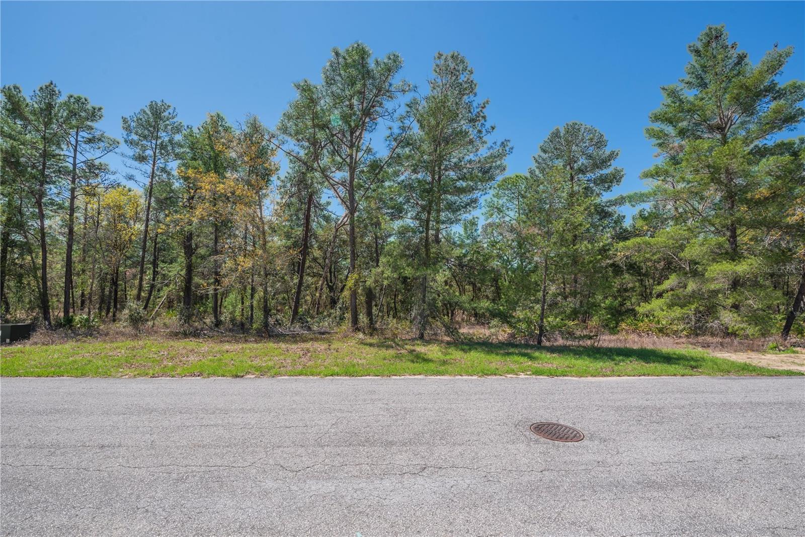 SUGARMILL WOODS OAK VILLAGE - Land