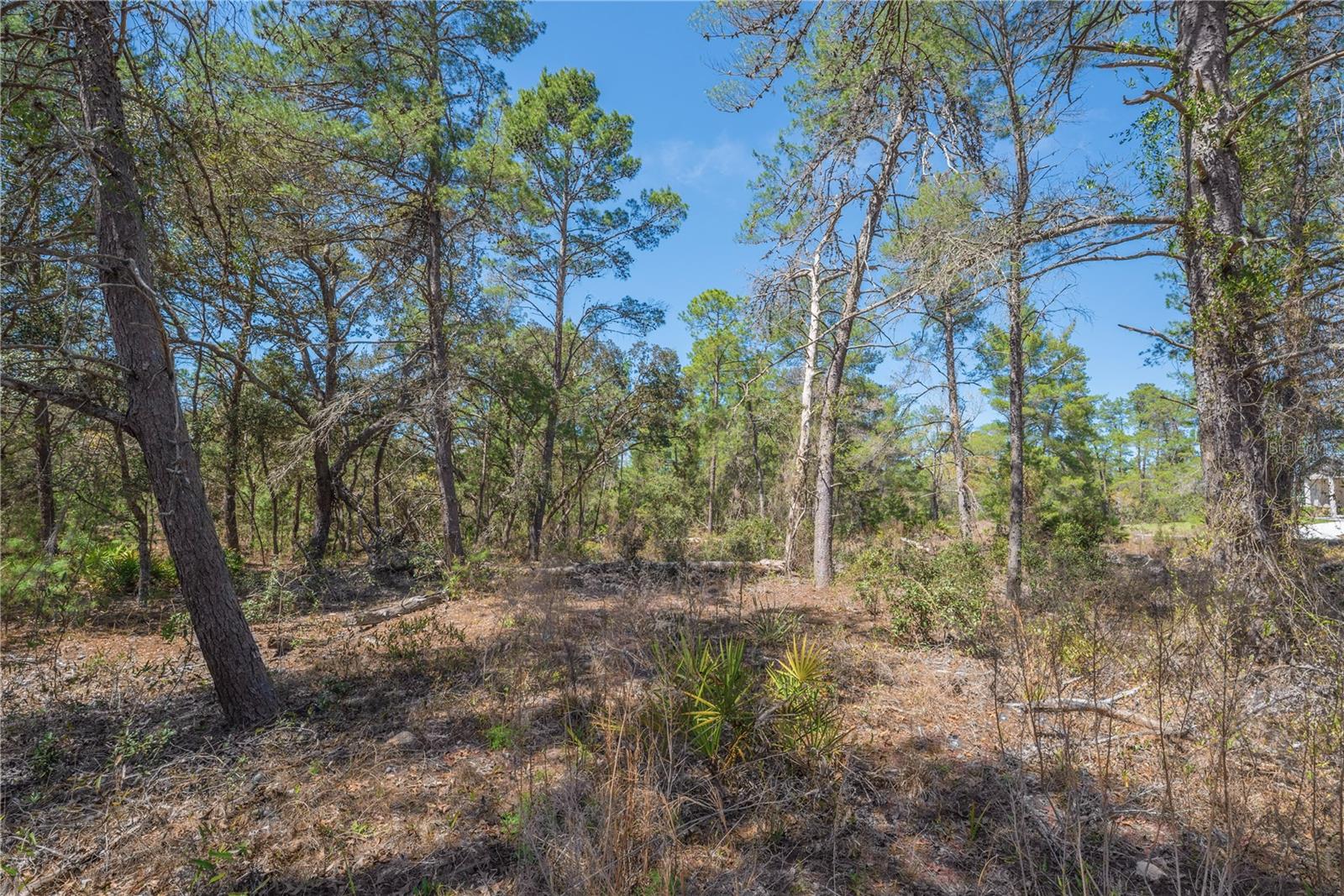 SUGARMILL WOODS OAK VILLAGE - Land