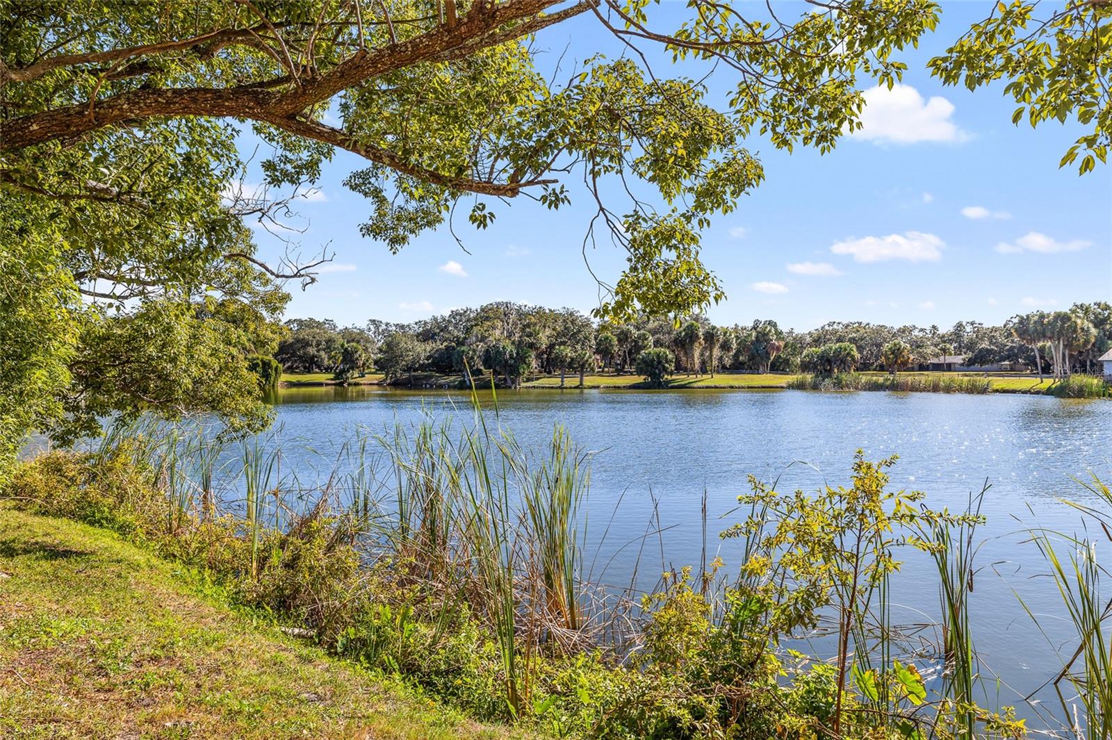 FOREST LAKE ESTATES - Residential