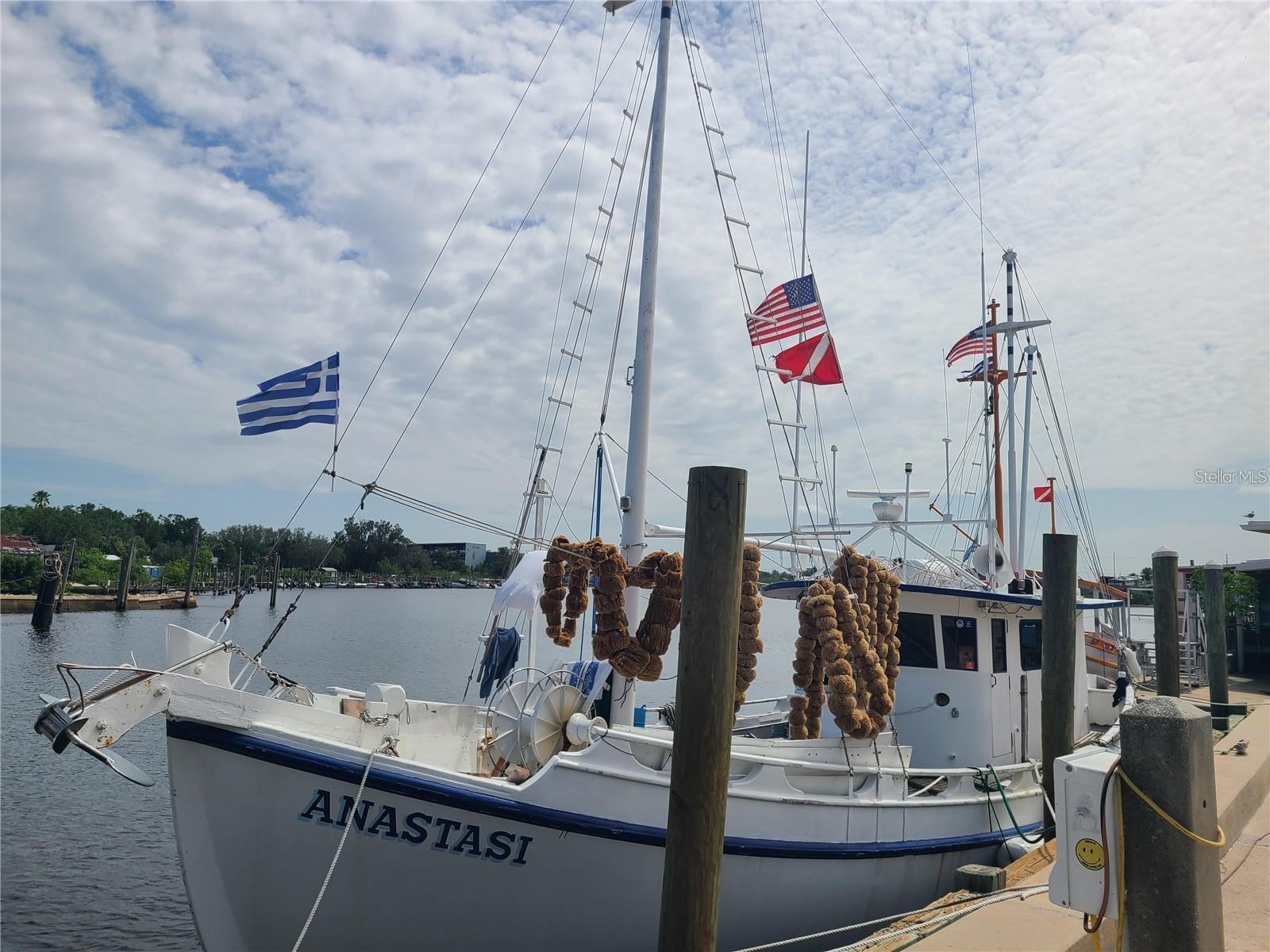 229 DIXIE
