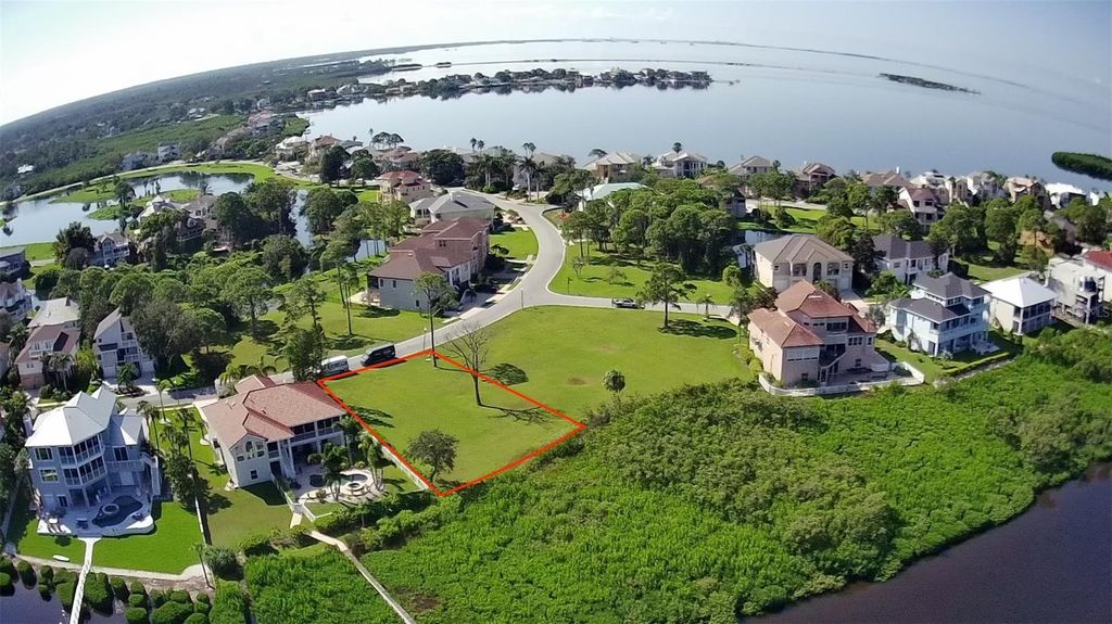 Photo of 2063 N Pointe Alexis Drive, Tarpon Springs, FL 34689 (MLS # W7868574)