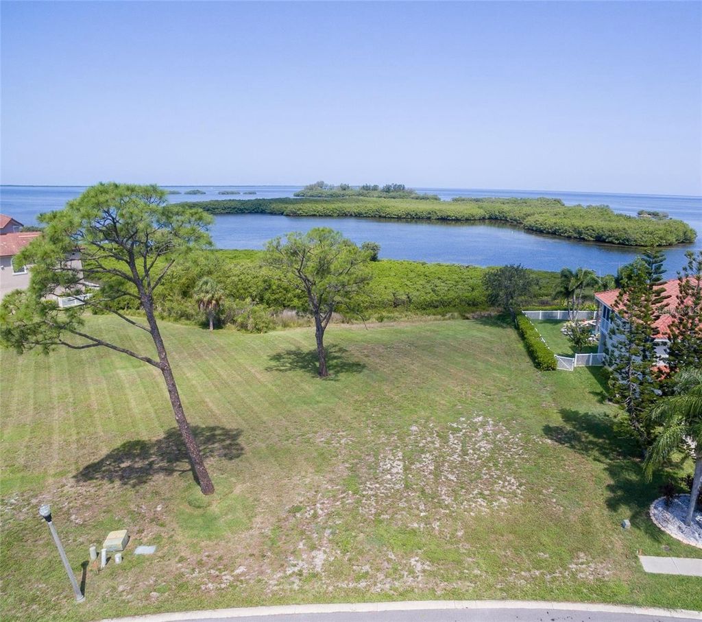 Photo of 2063 N Pointe Alexis Drive, Tarpon Springs, FL 34689 (MLS # W7868574)