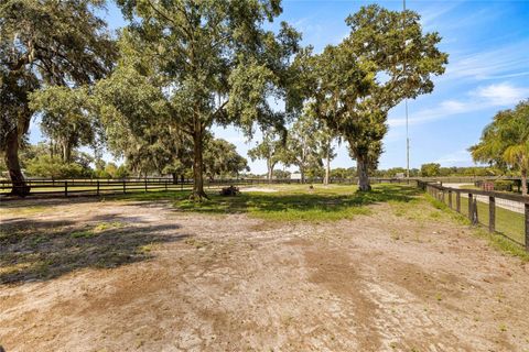 Tiny photo for 13646 N Us Highway 27, Ocala, FL 34482 (MLS # OM720408)