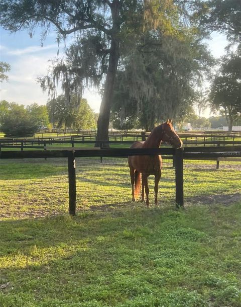 Tiny photo for 13646 N Us Highway 27, Ocala, FL 34482 (MLS # OM720408)