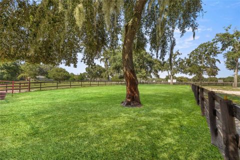 Tiny photo for 13646 N Us Highway 27, Ocala, FL 34482 (MLS # OM720408)