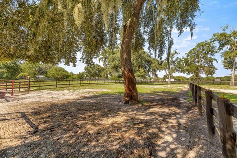Tiny photo for 13646 N Us Highway 27, Ocala, FL 34482 (MLS # OM720408)