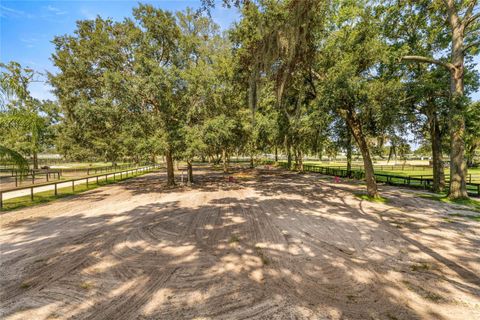 Tiny photo for 13646 N Us Highway 27, Ocala, FL 34482 (MLS # OM720408)