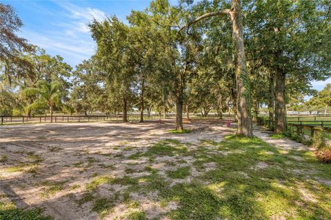 Tiny photo for 13646 N Us Highway 27, Ocala, FL 34482 (MLS # OM720408)