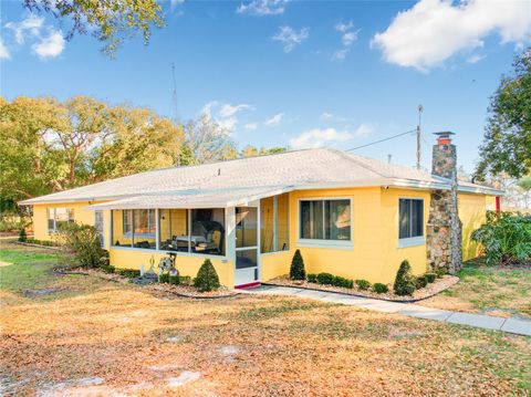 Tiny photo for 7008 Hunt Road, Groveland, FL 34736 (MLS # S5141545)